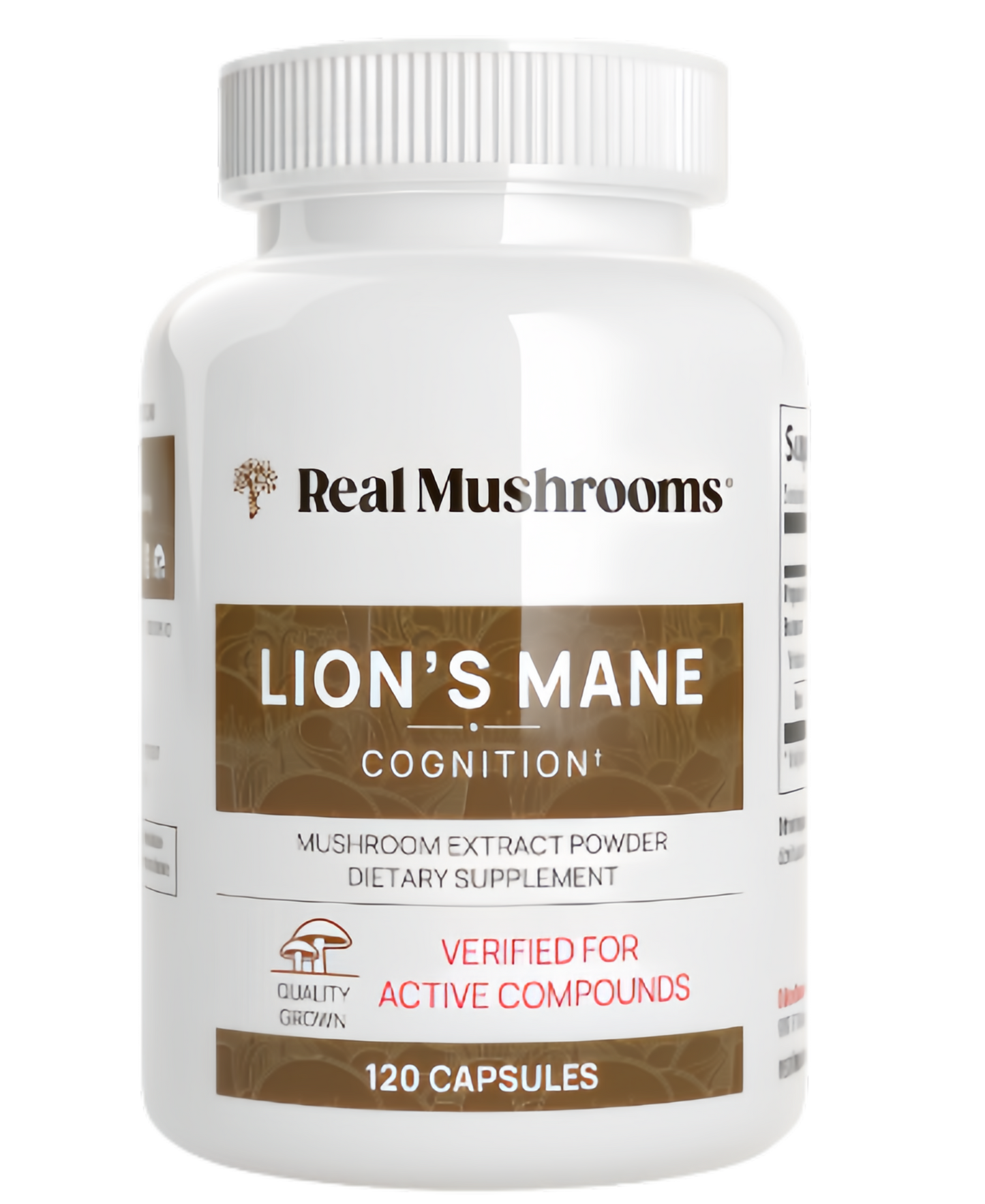 Lions Mane Mushroom Cognition Lions Mane MushroomPowder Extract Capsules | BrainSupplement, Brain Vitamins, FocusSupplement