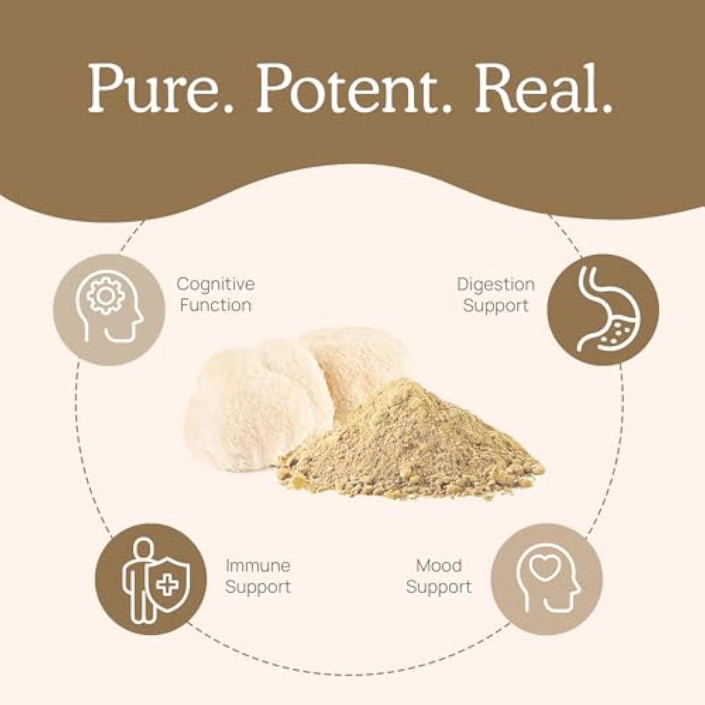 Lions Mane Mushroom Cognition Lions Mane MushroomPowder Extract Capsules | BrainSupplement, Brain Vitamins, FocusSupplement