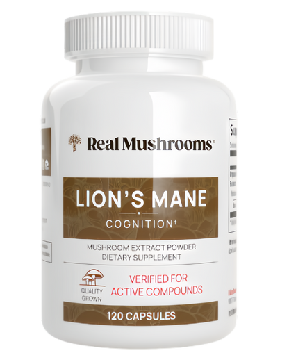 Lions Mane Mushroom Cognition Lions Mane MushroomPowder Extract Capsules | BrainSupplement, Brain Vitamins, FocusSupplement